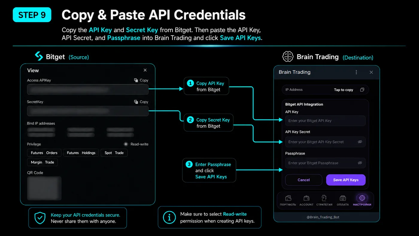 Bitget showing the created Access APIKey and SecretKey next to the BRAIN credential fields